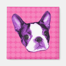 Polka Dot Boston Terrier Puppy Magnet magnets