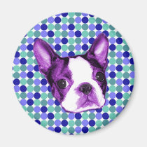Polka Dot Boston Terrier Puppy Magnet magnets