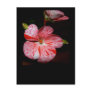 Polka-dot geranium post card