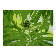 Pollination 1 card