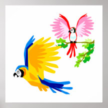 Polo and Poli Parrot Poster