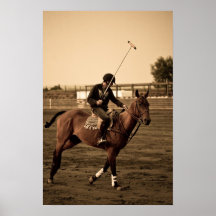 Polo dreams poster