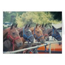 Polo Pony String Card