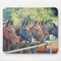 Polo Pony String Mouse Pads
