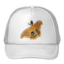 Polyphemus Moth Mesh Hats