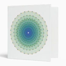 Polytope uniforme géométrique dans l'avion d'E8 Co