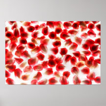 Pomegranate arils posters