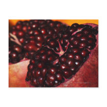 Pomegranate Postcards