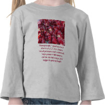 Pomegranate toddler shirt