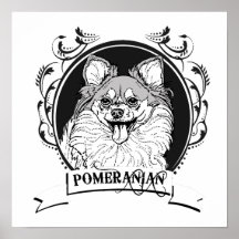 POMERANIAN (2) POSTERS