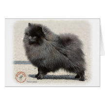Pomeranian 9R042D-40 Greeting Cards