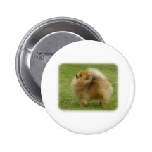 Pomeranian 9T072D-001 Pins