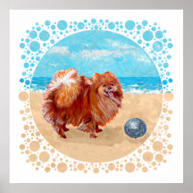 Pomeranian at the Seashore Posters