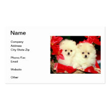 Pomeranian Business Cards