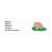 Pomeranian Cartes De Visite Personnelles
