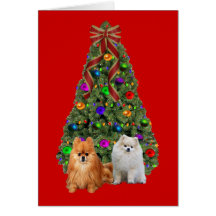 Pomeranian  Christmas Card Tree