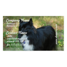 Pomeranian Dog  Business Cards