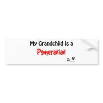 Pomeranian Grandchild Bumper Sticker