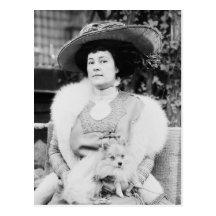 Pomeranian Lady Post Cards