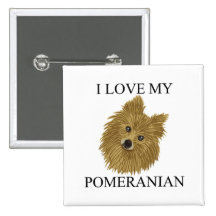 POMERANIAN Love! Pinback Buttons
