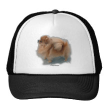 Pomeranian Lovers Gifts Trucker Hats