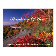 Pomeranian Named Zeus Colourful Autumn Scene Postcard