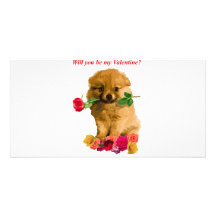 Pomeranian Puppy Be My Valentine Roses Photo Card