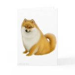 Pomeranian Puppy Greeting Card
