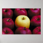 Pommes Affiches