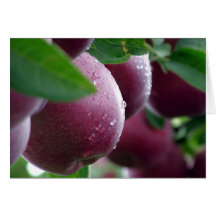 Pommes Carte De Vœux
