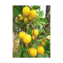 Pommes sauvages impressions sur toile