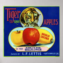 Pommes Watsonville la Californie de tigre Posters