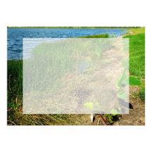 Pond bank with pond plants invites