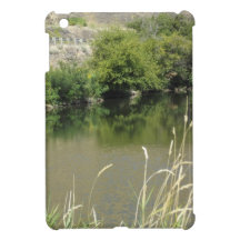 Pond by the Road iPad Mini Covers