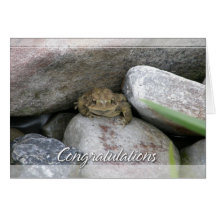 Pond Frog Congratulations Card
