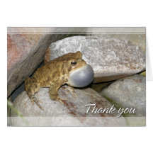 Pond Frog Thank You Cards