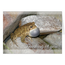 Pond Frog Thinking of You Card