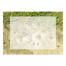 Pond grass and sand background personalized invitations