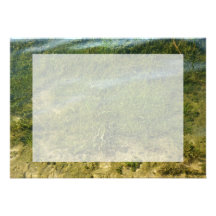 Pond grass underwater image custom announcement