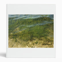 Pond grass underwater image vinyl binder