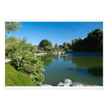 Pond invitation
