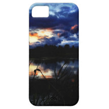 pond iPhone 5 case