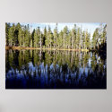 Pond On Tioga Road - Yosemite National Park posters