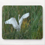 Pond Reeds & Egret Mousepad