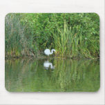 Pond Reeds & Egret Mousepad