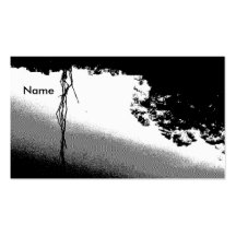 Pond Reflections in B/W Business Cards