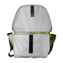 Pond shore plants, spiked puffs on stems photo courier bags