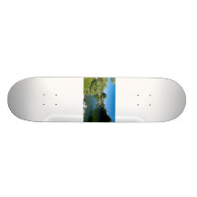 Pond skateboard