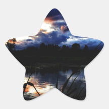 pond star sticker