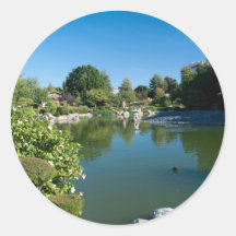 pond sticker